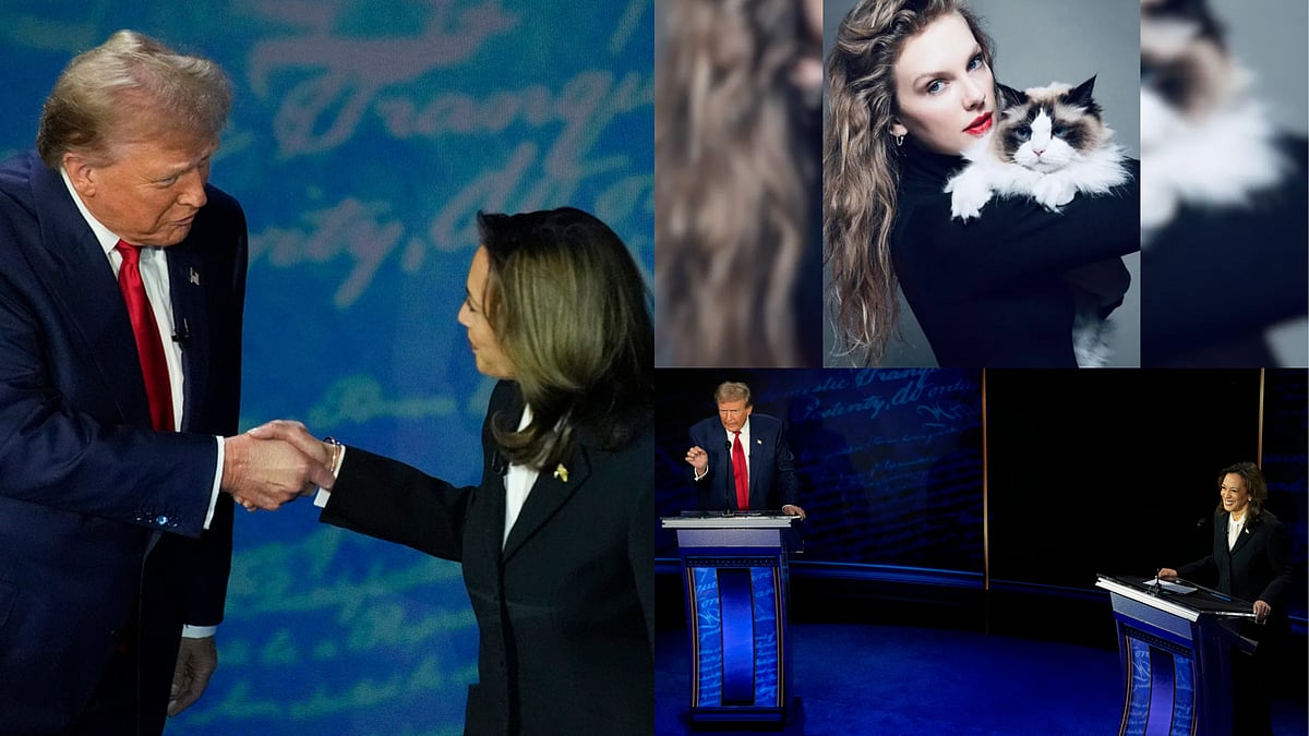 Immigrants Eating Pets & Childless Cat Ladies - Donald Trump, Kamala Harris' Debate Turns The Page - | Photo: AP